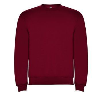 Реглан Clasica 280 ТМ Roly 5543 фото