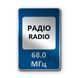 Знак &laquo;Радіостанції, що передають інформацію про дорожній рух&raquo; (5.78 згідно з ДСТУ 4100:2021) RS5780-1-03 фото 1